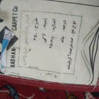 فرش|فرش|شیراز, اصلاحنژاد|دیوار