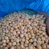 نخود درشت و درجه یک