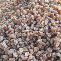 کشمش بیدانه|خوردنی و آشامیدنی|الوند, |دیوار