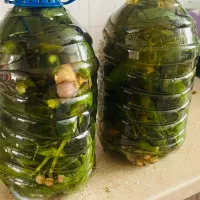 خیارشور و ترشی خانگی تضمینی|خوردنی و آشامیدنی|کرج, فاز ۱ مهرشهر|دیوار