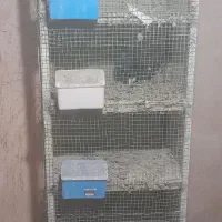 قفس جفتگاه