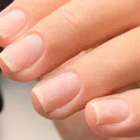 ناخنکار اماده همکاری