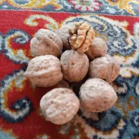 گردوی تازه وخوردنی . روغنی|خوردنی و آشامیدنی|مشگین شهر, |دیوار