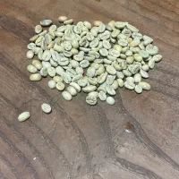 پخش قهوه سبز و رست شده