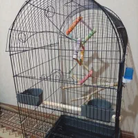 قفس یک متری بزرگ با لوازم|لوازم جانبی حیوانات|تهران, توحید|دیوار