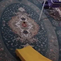 قالی|فرش|اهواز, شریعتی جنوبی|دیوار