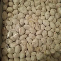 قُطاب پِسته و کُلمپه خرمایی (کنجدی و چهار مغز)