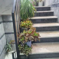 اجاره خانه یابه زبان بختیاری لیر|اجارهٔ کوتاهمدت آپارتمان و سوئیت|الیگودرز, |دیوار