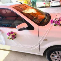 گلسرای علیسان|گل و گیاه طبیعی|بهبهان, |دیوار