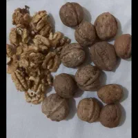 گردو تمیز سالم