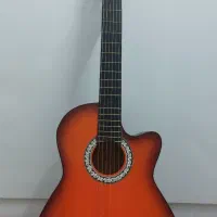 گیتار به همراه سافت کیس