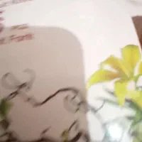کاردوچنگال