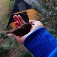 نظافت و شستشو