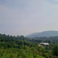 زمین مسکونی با جواز ساخت در مجموعه اربکله|فروش زمین و ملک کلنگی|کتالم و سادات شهر, |دیوار