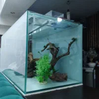 آکواریوم پلنت|ماهی|مشهد, امیریه|دیوار