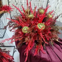 دیزاین|خدمات پذیرایی، مراسم|گناباد, |دیوار