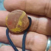 هبهاب مغربی سرخ