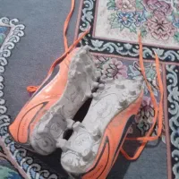 این کفش رو تازه خریدم نو نو دورزباش رفتم چمن|کیف، کفش، کمربند|باوی, |دیوار