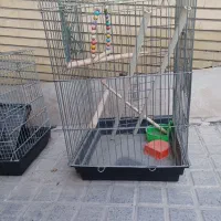 قفس پرنده