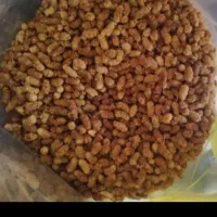 توت خشک|حراج|املش, |دیوار