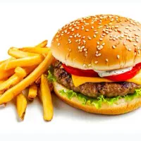 فرکار ساندویچی / کاگر ساده