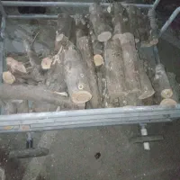 خریدوقطع و حرص درخت در محل شما|خدمات باغبانی و درختکاری|ری, علایین|دیوار