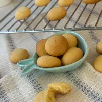 محصولات خونگی مولدا|خدمات پذیرایی، مراسم|طرقبه, |دیوار