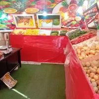 طبق با اینه با چمن  با سیم کشی کامل با لامپ فروشی
