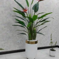 درختچه مصنوعی|گل مصنوعی|تبریز, |دیوار