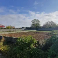 زمین 597 متری داخل طرح