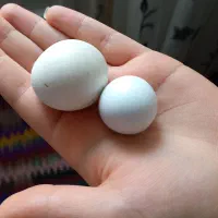 سنگ الماس آسیاب