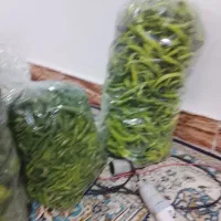 فلفل|خوردنی و آشامیدنی|شیروان (خراسان), |دیوار