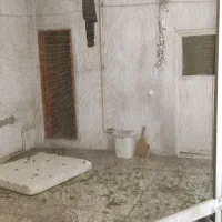 اجاره آپارتمان ۷۰ متری دولت آباد|اجارهٔ آپارتمان|ری, شهادت|دیوار