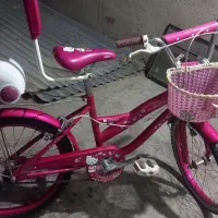 دوچرخه 20|دوچرخه، اسکیت، اسکوتر|قروه, |دیوار