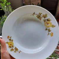 12 عدد بشقاب نو