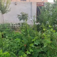 خونه ویلایی با آب، برق، گاز ، فقط ۲۰ دقیقه تا شهر|فروش خانه و ویلا|سلفچگان, |دیوار