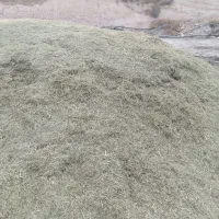 یونجه خرمنکوب شده آماده مصرف دام|حیوانات مزرعه|نهاوند, |دیوار