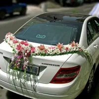 تزئین ماشین عروس باارزانترین قیمت بازار  درارومیه