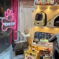 لبه دار مسقف مت دردار ساده