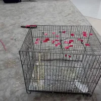 قفس|لوازم جانبی حیوانات|مشهد, نظام دوست|دیوار