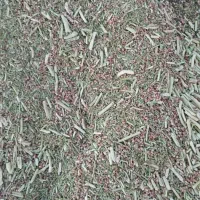 خار شتر نرم ودانه دار|حیوانات مزرعه|شیراز, ارم|دیوار