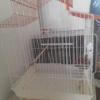 قفس پرنده