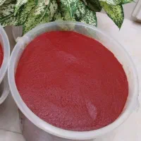 رب خونگی، شیره انگور ،کشمش، آلو ،گلاب و عرقیات|خوردنی و آشامیدنی|نیشابور, دربقاضی|دیوار
