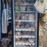 یخچال لوازم قصابی فریزر|فروشگاه و مغازه|مشهد, هفده شهریور|دیوار