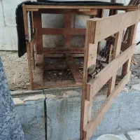 قفس کفتر وپرنده