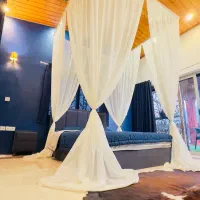 لوازم کامل ویلا|حراج|چالوس, |دیوار