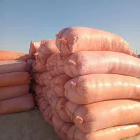 کاه زابل سبز هم دار