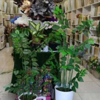 درختچه|گل مصنوعی|سنندج, |دیوار