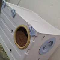 لانه عروس هلندی
