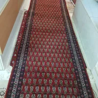 کناره دست بافت در طرح ونقش زیبا|فرش|زنجان, |دیوار